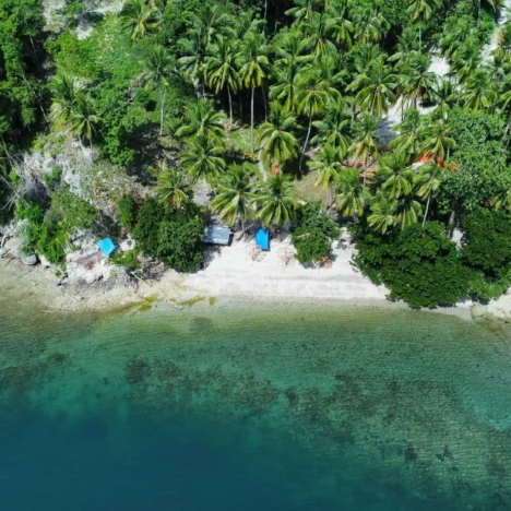 Plan Your Bohol Vacation with This Ultimate Tourist Spot Bucket List