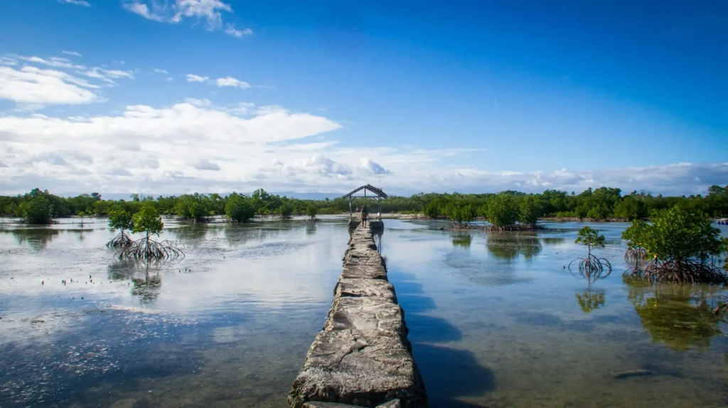 Olango Wild Life Observation Deck