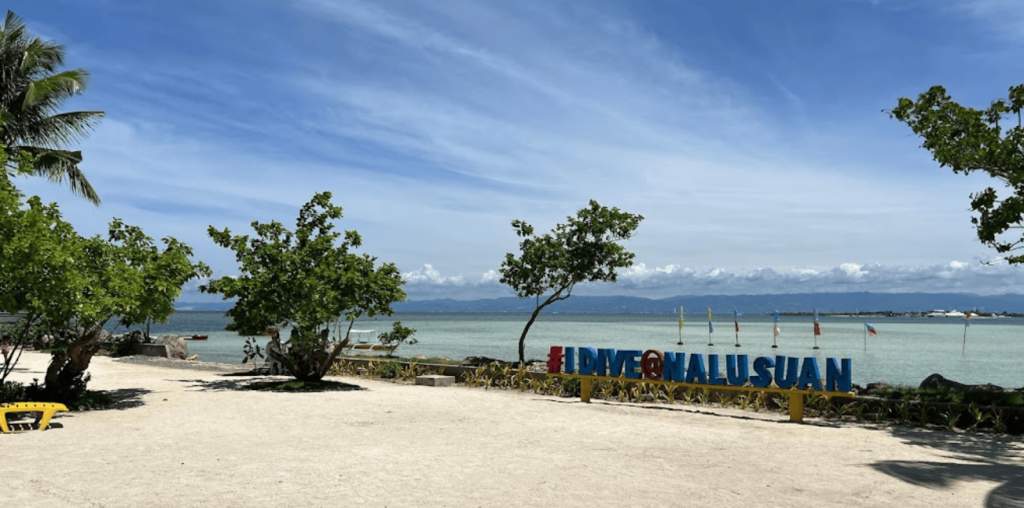 Nalusuan Island Resort and Marine Sanctuary