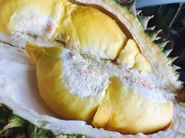 photo of Durian fruit