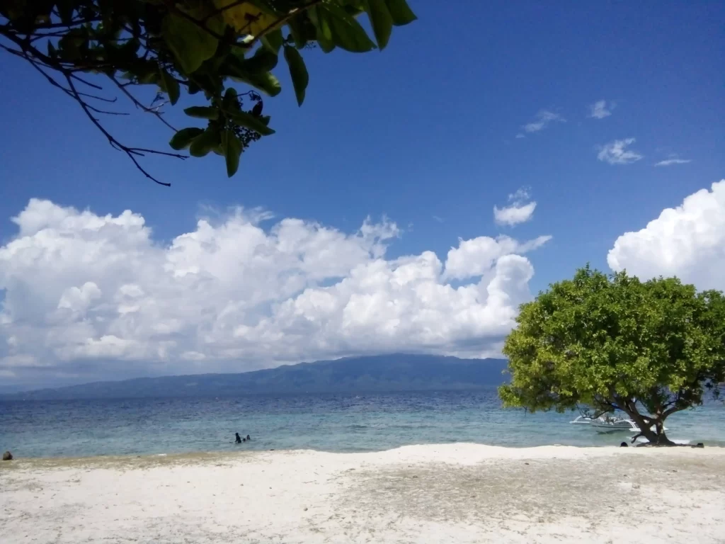 Digyo Island White sand and a tree