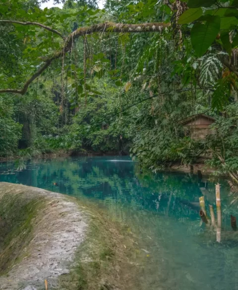 Kawasan Falls in badian cebu