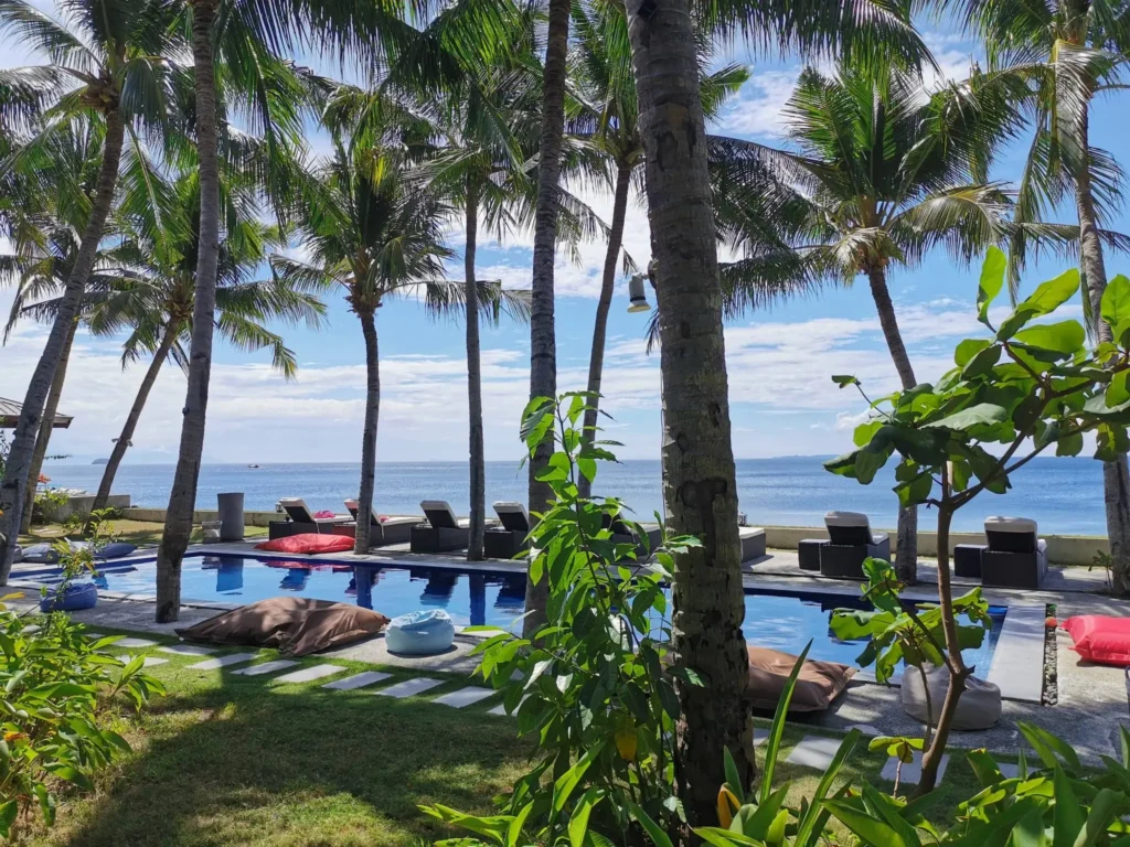 pool sorrrounded with coconut trees