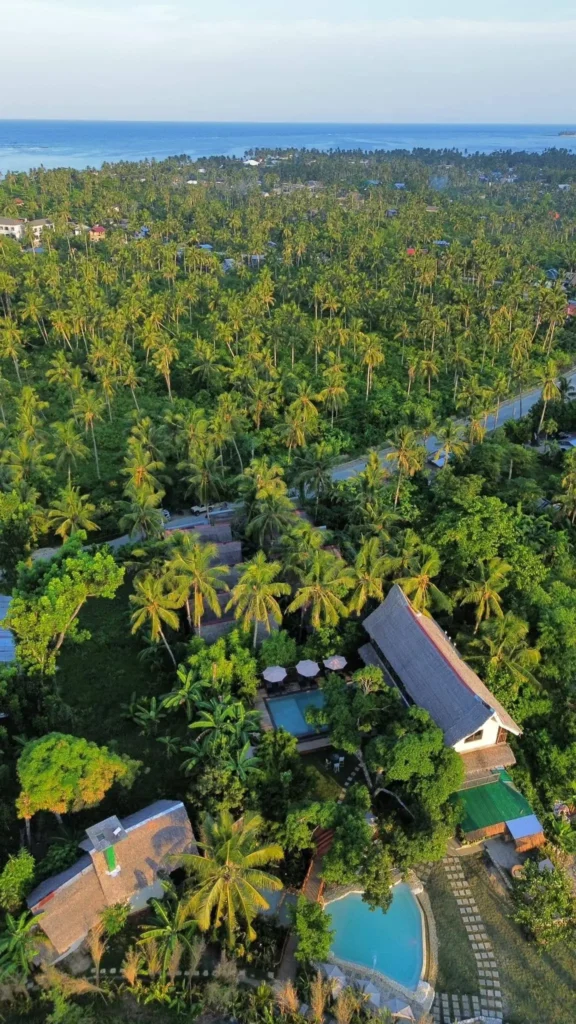 aerial view with coconut tree of The Hillside Resort Siargao 