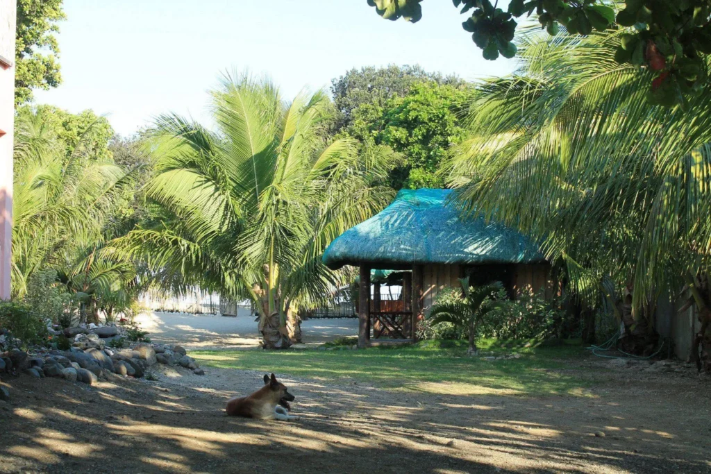 front feom gate of Natsuca Beach Resort in Pagudpud 