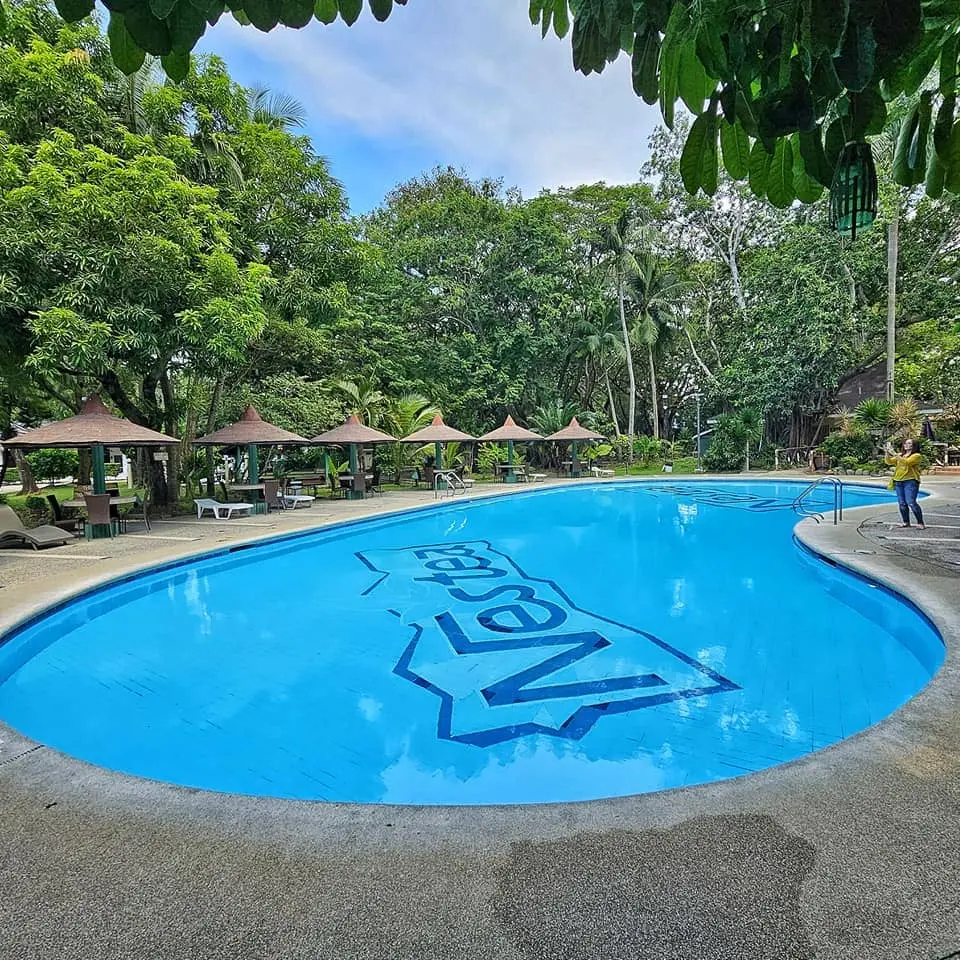 pool sorrounded with trees