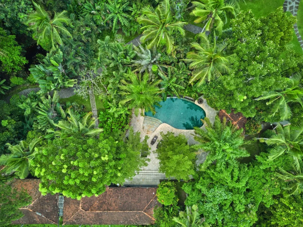 aerila view of Farm San Benito