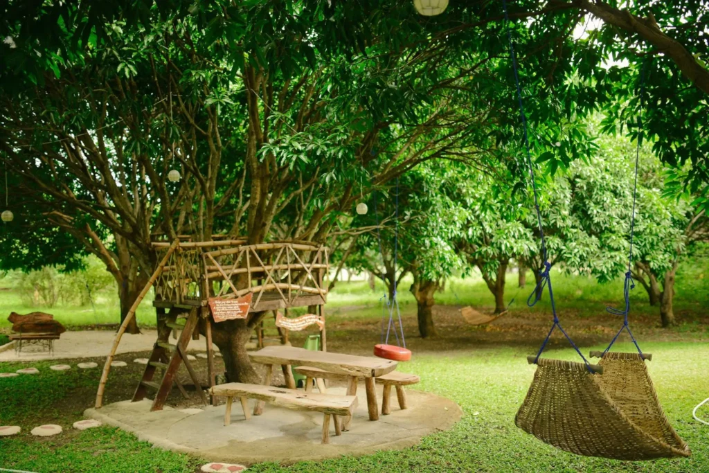 chairs and tables under the tree